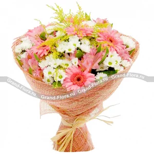 В розовых мечтах В розовых мечтах