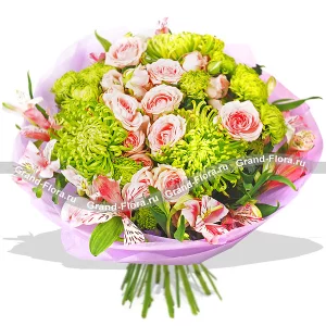 Фейерверк эмоций Фейерверк эмоций