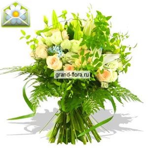 Лунная соната Лунная соната