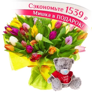 31 тюльпан + мишка 31 тюльпан + мишка