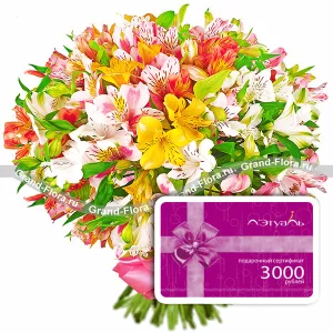 Маленький Принц + сертификат 3000 Маленький Принц + сертификат 3000