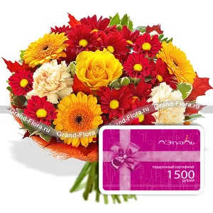 Осенний лес + сертификат 1500 Осенний лес + сертификат 1500